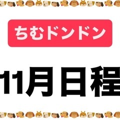 個人参加型バドミントン　11月日程　ちむドンドン