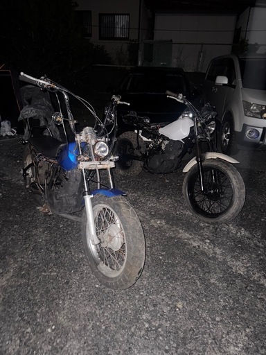 再投稿 TW200 2JL※白の車体