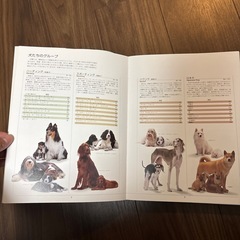 子犬の図鑑の画像