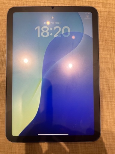 iPad mini6 Wi-Fiセルラーモデル256GB