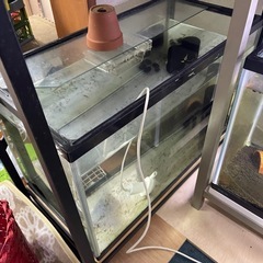60センチフレーム水槽の画像