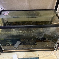 60センチフレーム水槽の画像