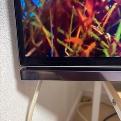 REGZAテレビ48インチ4k有機EL の画像