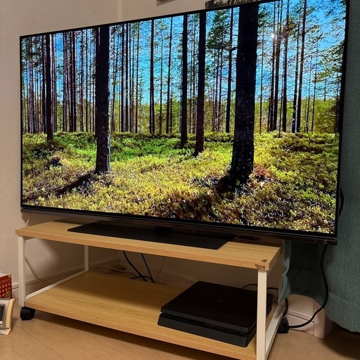 REGZAテレビ48インチ4k有機EL 