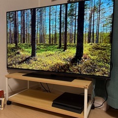 REGZAテレビ48インチ4k有機EL の画像