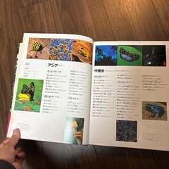 昆虫図鑑の画像