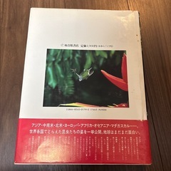 昆虫図鑑の画像