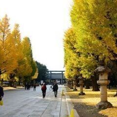 40・50代 東京散歩♪ ～1人参加～【千鳥ヶ淵】💖