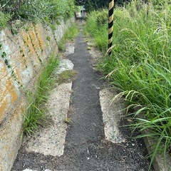 ※急遽土木作業員募集中※の画像
