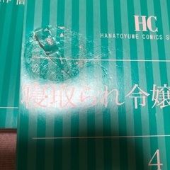 レンタル落ち(破れ有り)寝取られ令嬢の王子様の画像