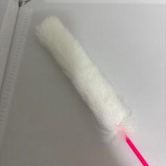 猫じゃらし　
の画像