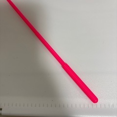 猫じゃらし　
の画像