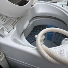 🟧洗濯機番号40 TOSHIBA 2019年製 5kg 大阪府内全域配達無料 設置動作確認込み 保管場所での引取は値引きしますの画像