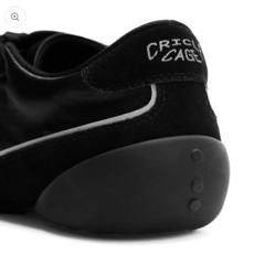 CIRCLE CAGE FLEXOR COURT LOW ４２の画像