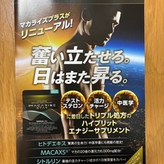 サプリメントの画像