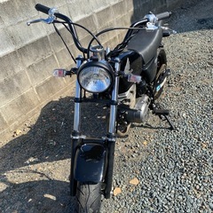 貴重なエイプf1の画像