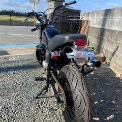 貴重なエイプf1の画像