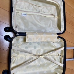無料　あげます　キャリーケース　キャリーバッグ　シルバーの画像