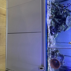 海水魚水槽の画像