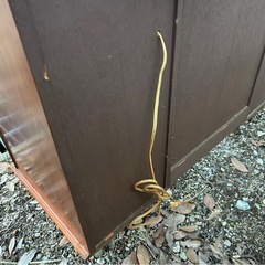 【大阪引き取り限定】アンティーク調ドレッサー✨リメイク・撮影小道具にも◎ の画像