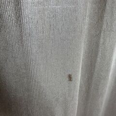 【カーテン付きハンガーラック】お譲りします。の画像