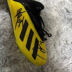 サッカースパイクの画像