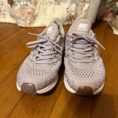 23.5　NIKEエアズームペガサス35の画像