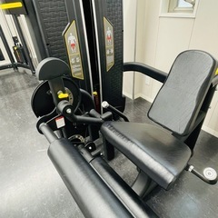レッグエクステンション/カール【エコレコフィットネス】 ウェイトスタック 業務用トレーニングマシン器機フィットネスマシンの画像