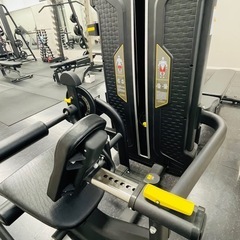 レッグエクステンション/カール【エコレコフィットネス】 ウェイトスタック 業務用トレーニングマシン器機フィットネスマシンの画像