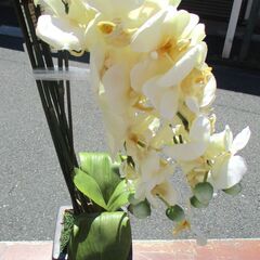 ☆ フェイクグリーン 光触媒人工観葉植物 胡蝶蘭 小さな公園◆花言葉は「幸せが飛んでくる」「共にする喜び」の画像