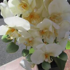 ☆ フェイクグリーン 光触媒人工観葉植物 胡蝶蘭 小さな公園◆花言葉は「幸せが飛んでくる」「共にする喜び」の画像