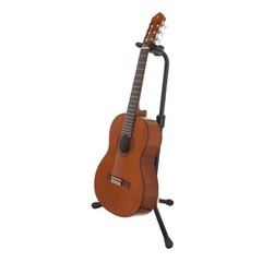 ｱｺｰｽﾃｨｯｸｷﾞﾀｰCG-Juniorの画像