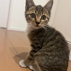 可愛い男の子 おーちゃん