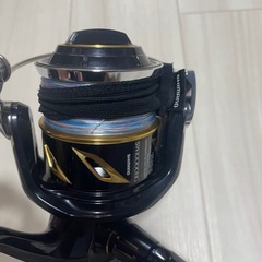 ステラsw10000hg
の画像