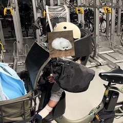 自転車用チャイルドシート（前用）OGKグランディア FBC-017DX 前用の画像