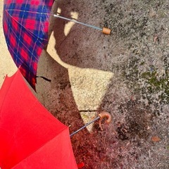 折りたたみ傘　２個の画像