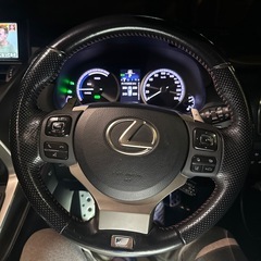 NX300H Fスポーツの画像