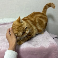 可愛いげんちゃん🐾