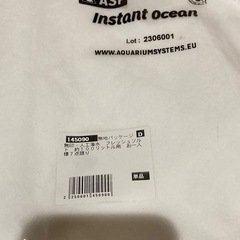 人工海水➕カクレクマノミ➕ヤドカリ
の画像