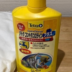 人工海水➕カクレクマノミ➕ヤドカリ
の画像