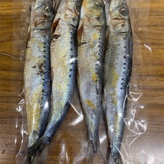 まいわしの訳あり品が、たくさん出来上がっています‼️の画像