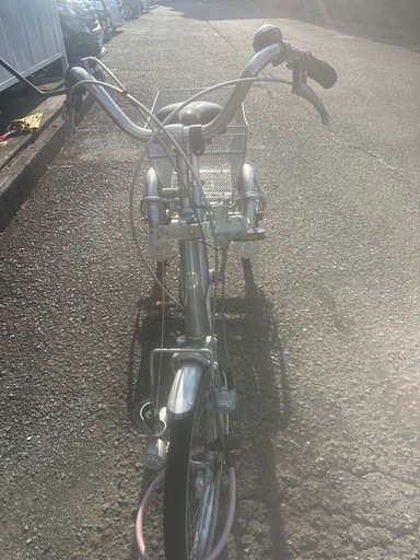 ブリヂストン大人用三輪車ワゴン