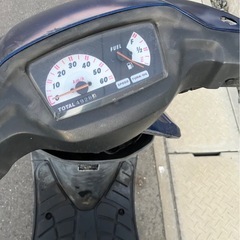 セピアの画像