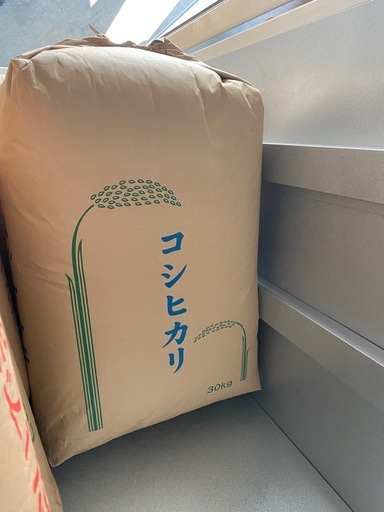 残り1袋　新米コシヒカリ
