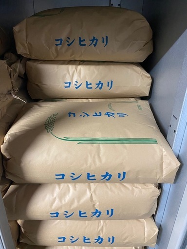 残り1袋　新米コシヒカリ