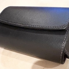 Panasonic LUMIX TZ7の画像