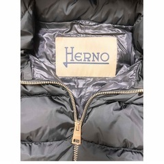 美品 ヘルノ ダウンコート サイズ38 高島屋購入定価20万円の画像