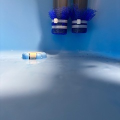 メダカ、排水パイプ、Ｌサイズ‼️の画像