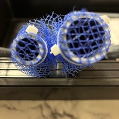 メダカ、排水パイプ、Ｌサイズ‼️の画像