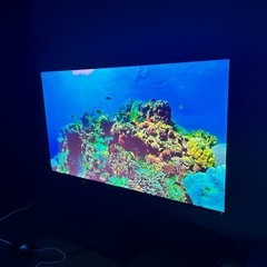 65インチ
の画像